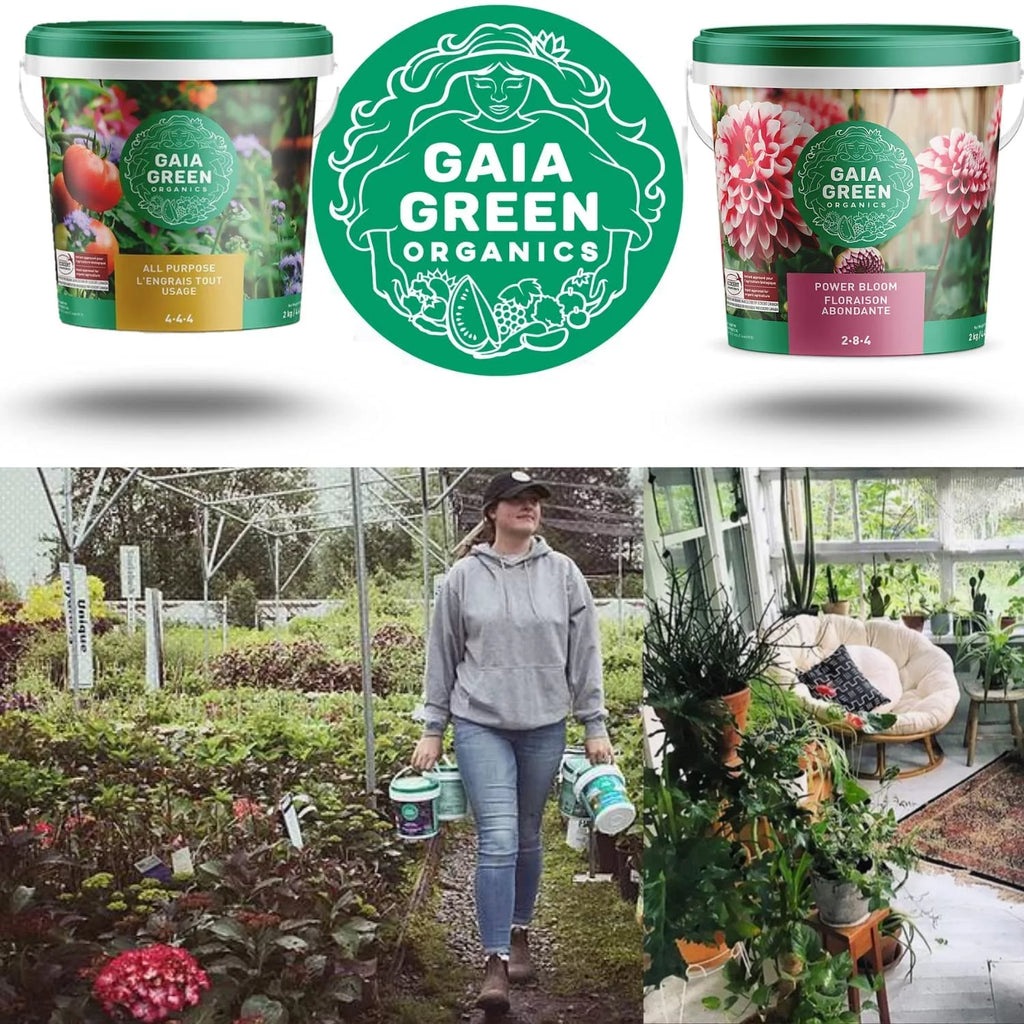 Gaia Green Bundle 2-8-4 Power Bloom and 4-4-4 All Purpose Organic Fertilizer Plant nutrients (2kg tubs)