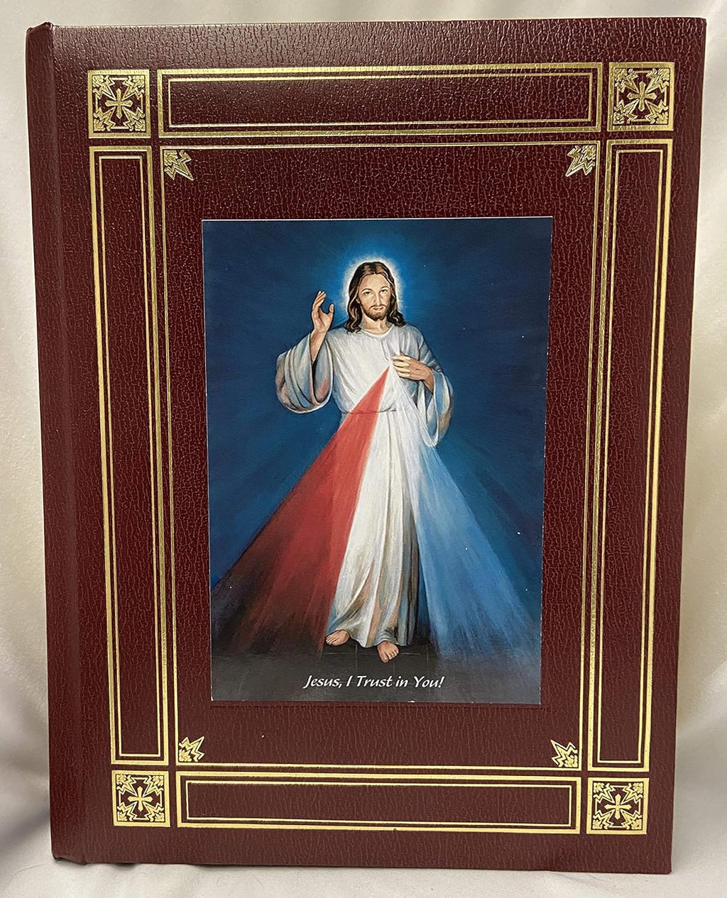 Catholic Family Bible Divine Mercy Edition