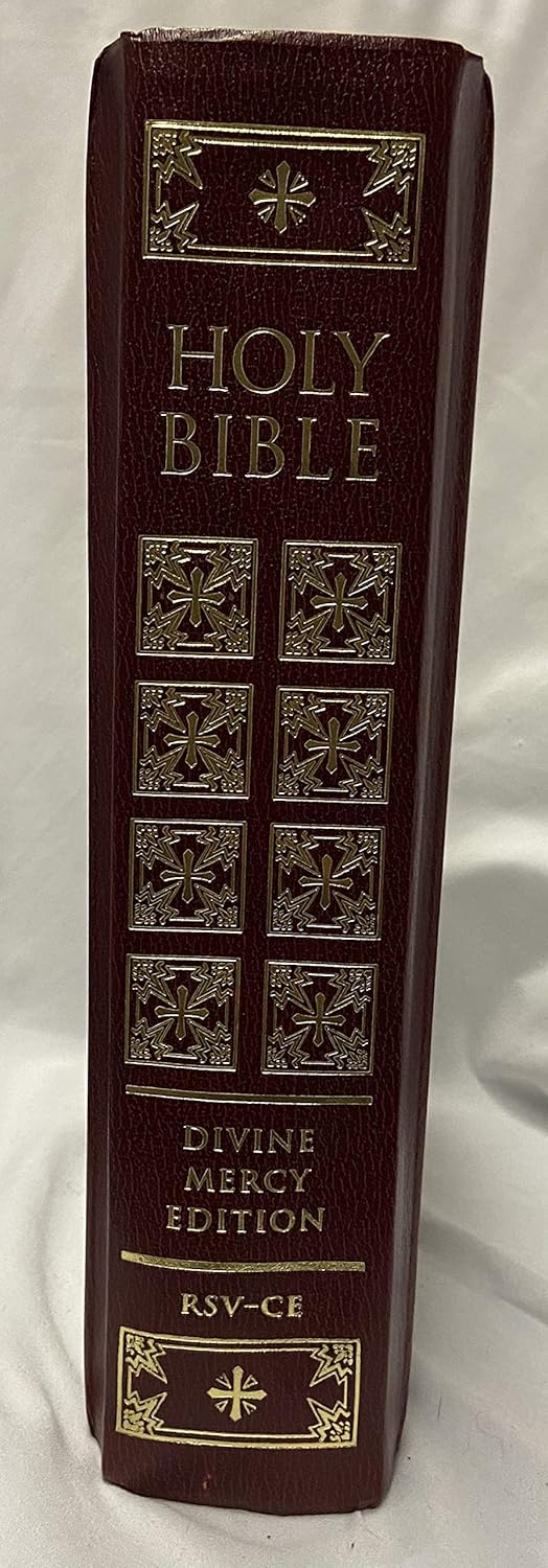 Catholic Family Bible Divine Mercy Edition