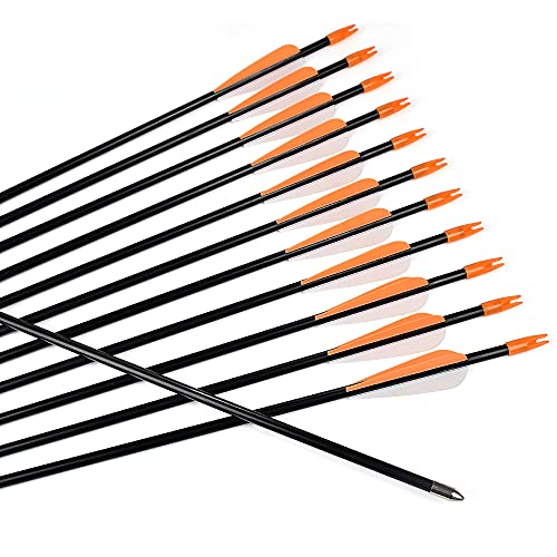 Archery Practice Fiberglass Arrows 24/26/28/30 Inch Target Shooting Safetyglass Recurve Bows Suitable for Youth Children Woman Beginner 6-12PCS