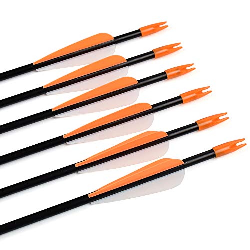 Archery Practice Fiberglass Arrows 24/26/28/30 Inch Target Shooting Safetyglass Recurve Bows Suitable for Youth Children Woman Beginner 6-12PCS