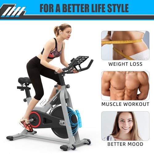 GEONEO Exercise Bike, Exercise Bike for Home, Stationary Indoor Cycling Bike Cardio Gym with pad Holder and LCD Monitor,Silent Belt Drive & 35 LBS Flywheel