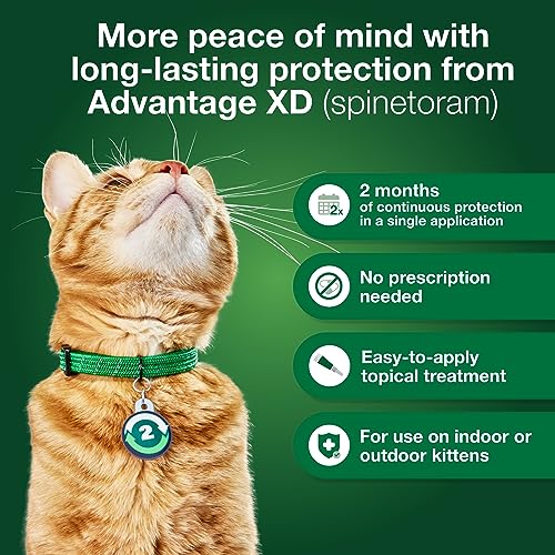 Advantage XD Large Cat Flea Prevention & Treatment For Cats over 9lbs. | 4-Topical Doses, 2-Months of Protection Per Dose