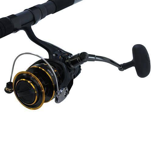 Daiwa BG Saltwater Spinning Combo