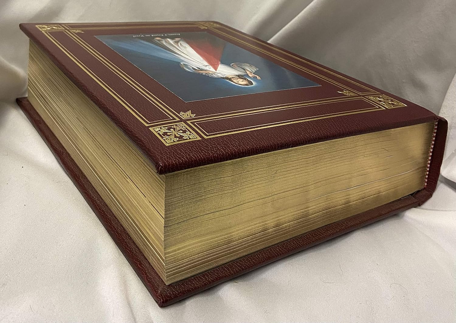 Catholic Family Bible Divine Mercy Edition