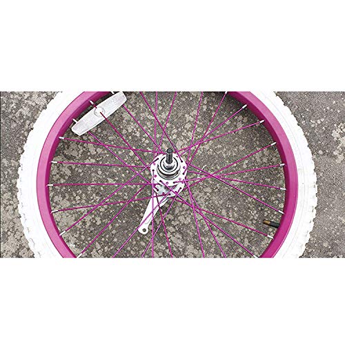 DONSP1986 Bicycle Coaster Brake Hub/Bike Brake Rear Hub