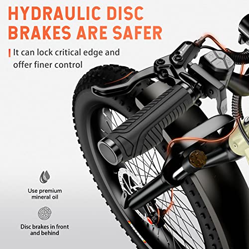 HOVSCO Electric Bike, 26"x 4" Fat Tire Ebike for Adults, 750W Motor Torque Sensor Mountain Bike 28Mph, 48V 20Ah Removable Battery 80Miles Adult Electric Bicycle