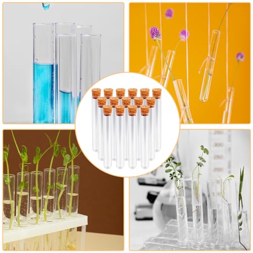 Plastic Test Tubes with Lids, 15x100mm (15ml) Clear Vials with Seal Cap Container Transparent Test Tubes with Cork Stoppers for Jewelry Seed Beads Powder Spice Liquid Storage (15 PCS)