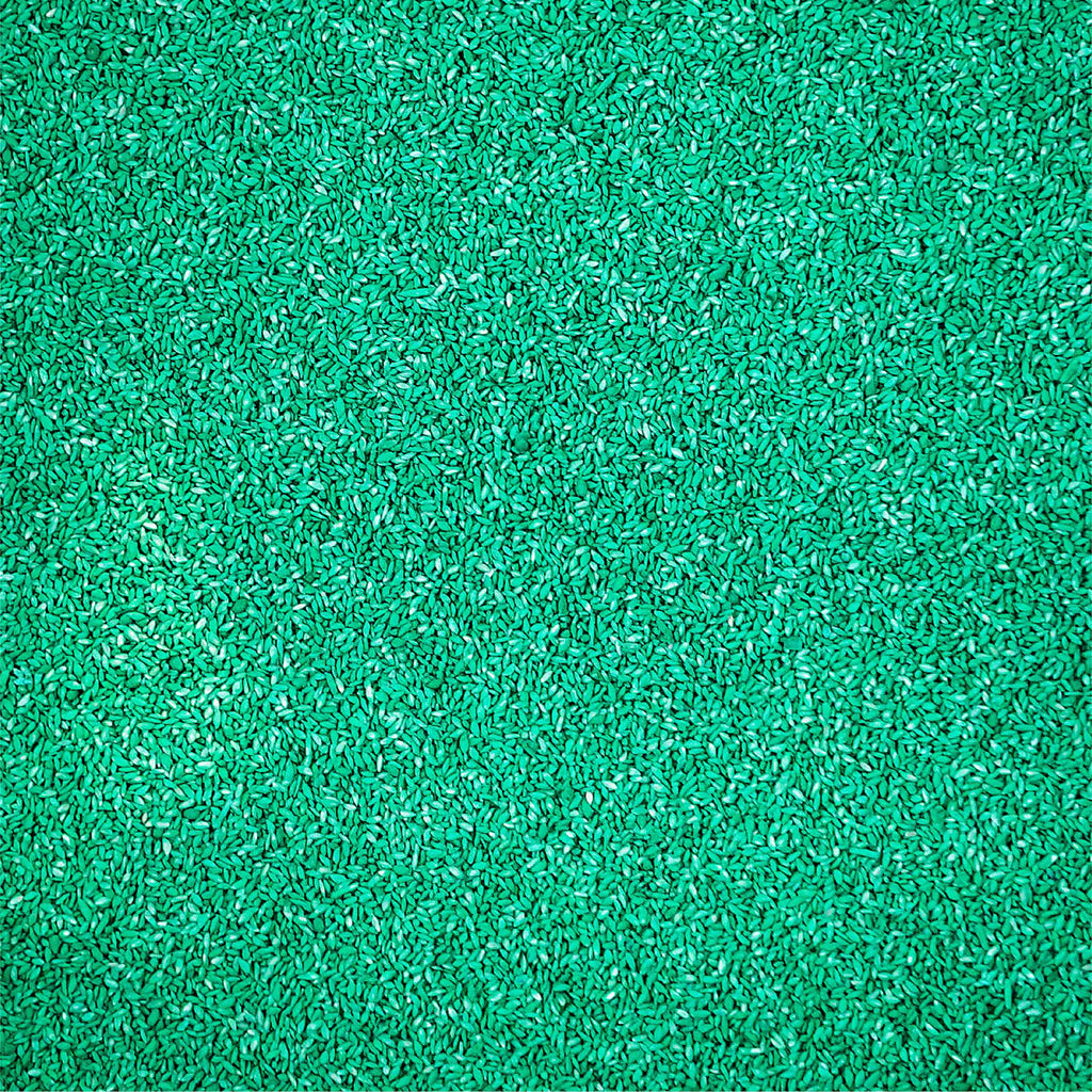 Pennington Sahara Bermudagrass Southern Grass Seed, for Full Sun, 5 lb.