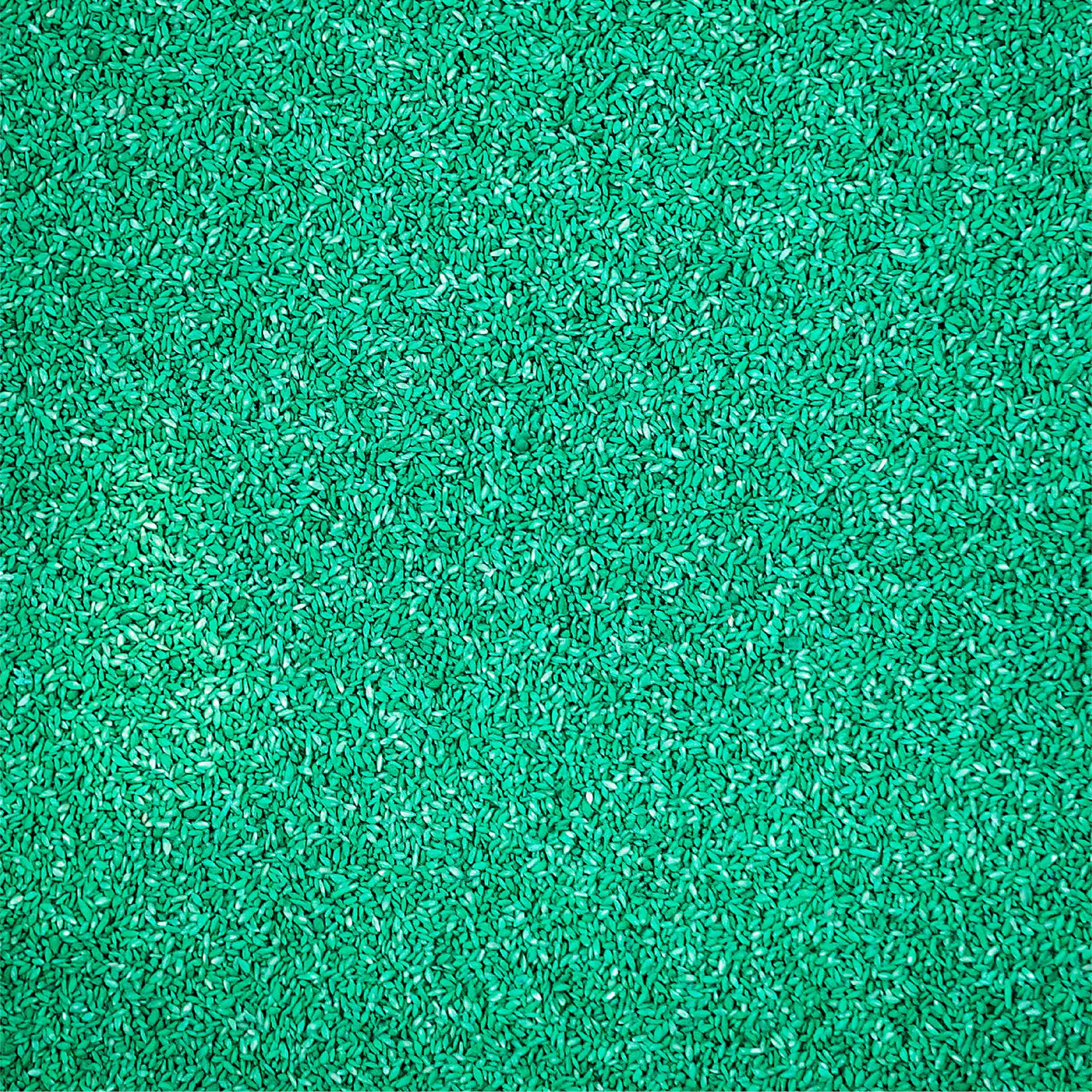 Pennington Sahara Bermudagrass Southern Grass Seed, for Full Sun, 5 lb.
