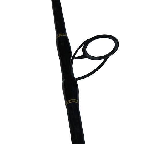 Daiwa BG Saltwater Spinning Combo
