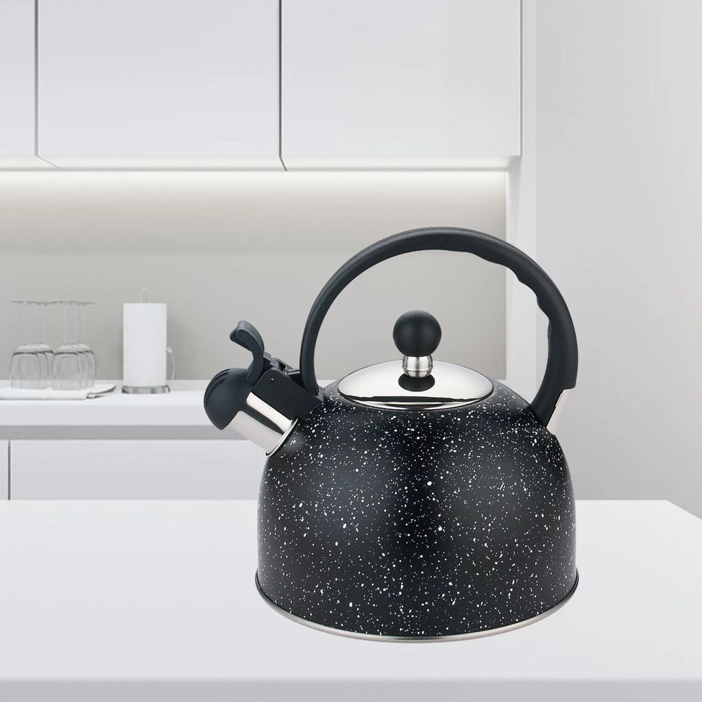 Multifunctional Loud Whistling Kettle 2L Large Capacity Household Stainless Steel Picnic Tea Pot Teapot Kettle Water Kettle for picnic black