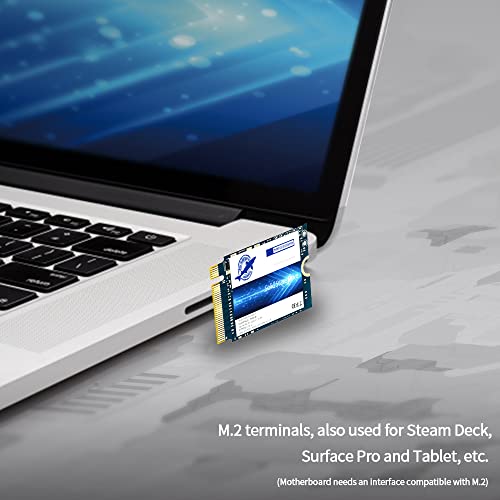 Dogfish 1TB NVMe SSD for MacBook PCIe Gen3x4 M.2 2280, Internal SSD for MacBook Air A1466 A1465(2013-2017)/MacBook Pro A1398 A1502(Retina 2013-2015)/iMac A1419 A1418