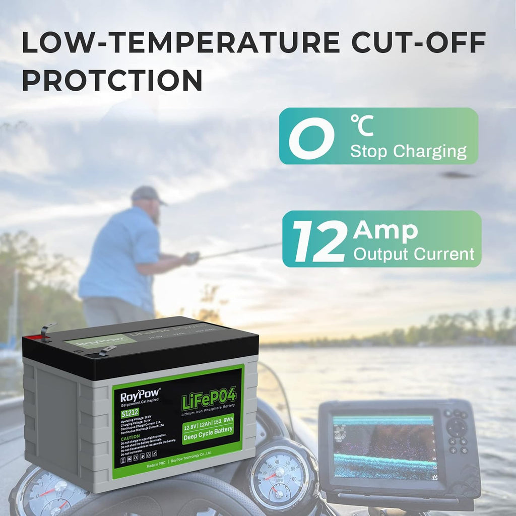 12V 12Ah Deep Cycle LiFePO4 Battery, RoyPow 12 volt Rechargeable Lithium Iron Phosphate Battery with low-temperature cut-off, 3500~8000 Cycles for Kid Scooters, Solar System, Fish Finder, RV Pack of 2