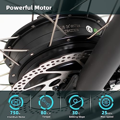 DWMEIGI 3 Wheel Electric Bicycle 750W Motor 48V 13AH Battery with Turn Signal Reserve Gear, Foldable 24" Tire Electric Cruiser Tricycle