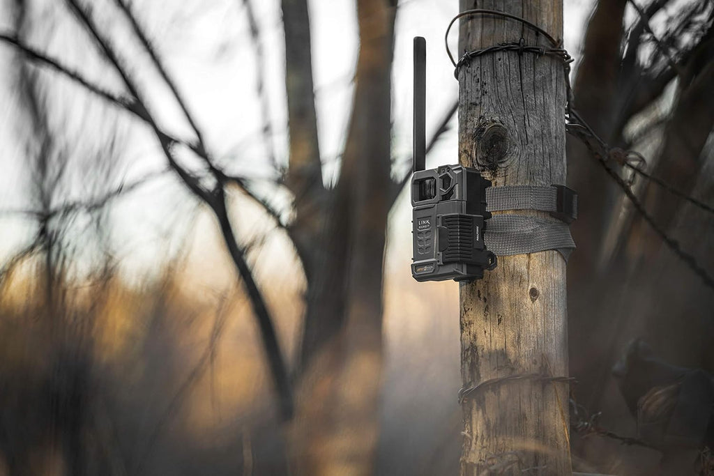 SPYPOINT Link-Micro-LTE Cellular Trail Camera Twin Pack with Two SD Cards and Two Steel Cases (Link-Micro-LTE-V)