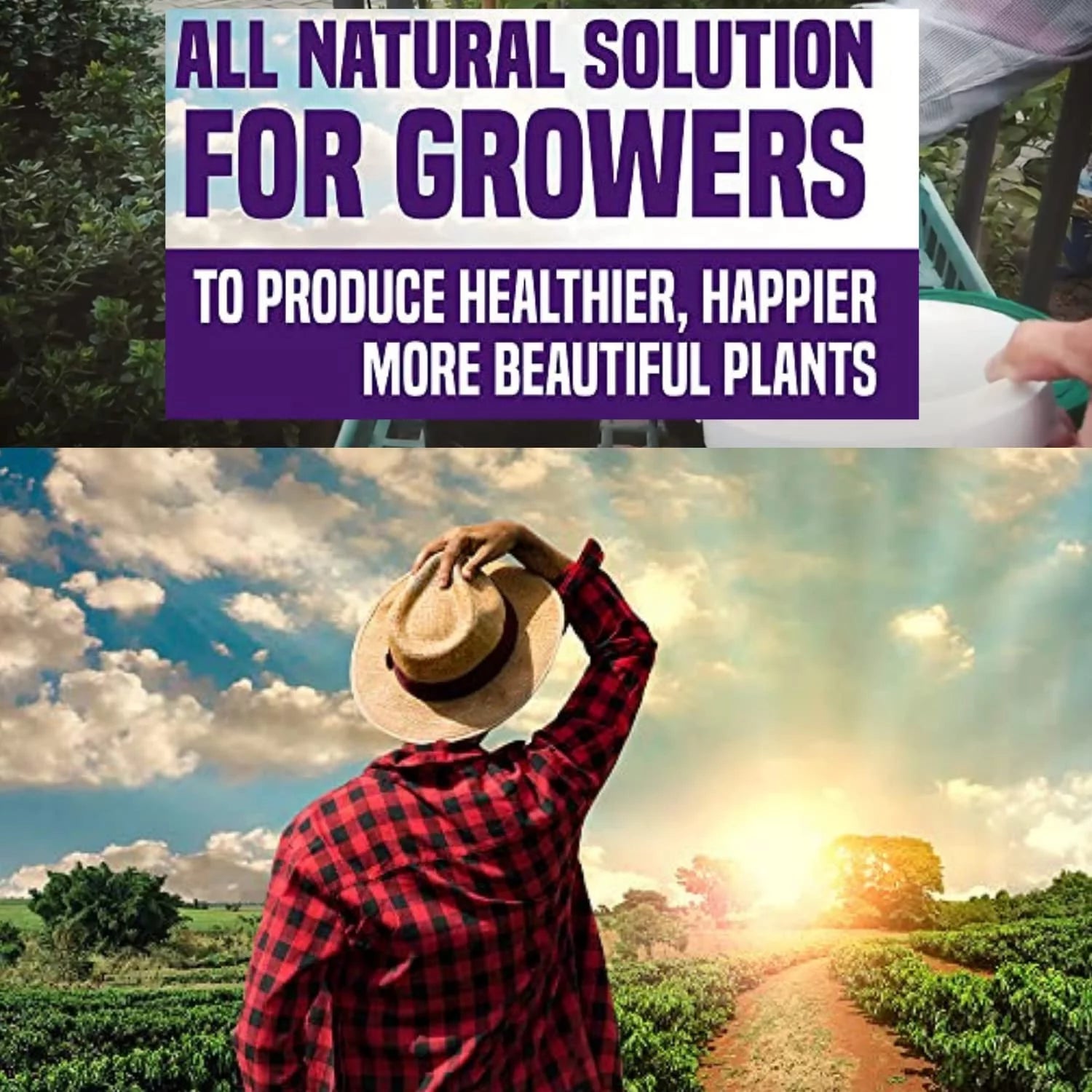 Gaia Green Bundle 2-8-4 Power Bloom and 4-4-4 All Purpose Organic Fertilizer Plant nutrients (2kg tubs)