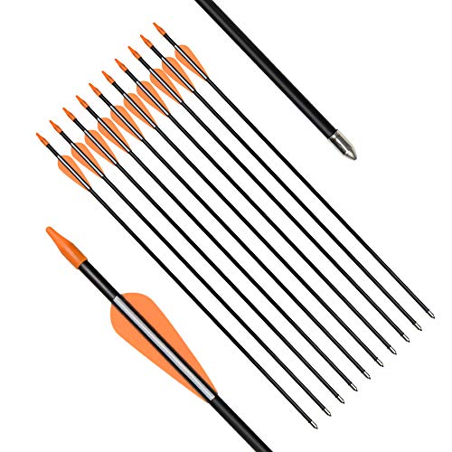 Archery Practice Fiberglass Arrows 24/26/28/30 Inch Target Shooting Safetyglass Recurve Bows Suitable for Youth Children Woman Beginner 6-12PCS