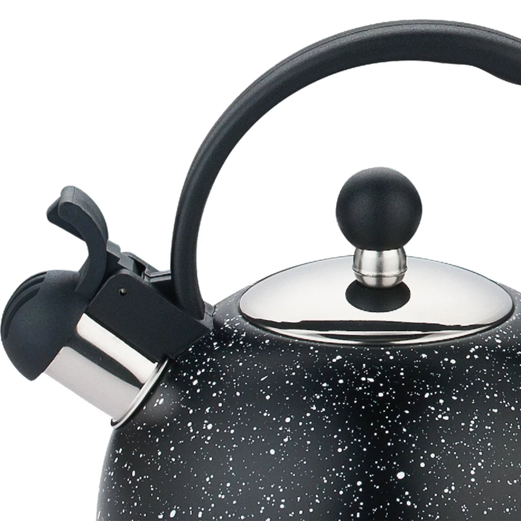 Multifunctional Loud Whistling Kettle 2L Large Capacity Household Stainless Steel Picnic Tea Pot Teapot Kettle Water Kettle for picnic black