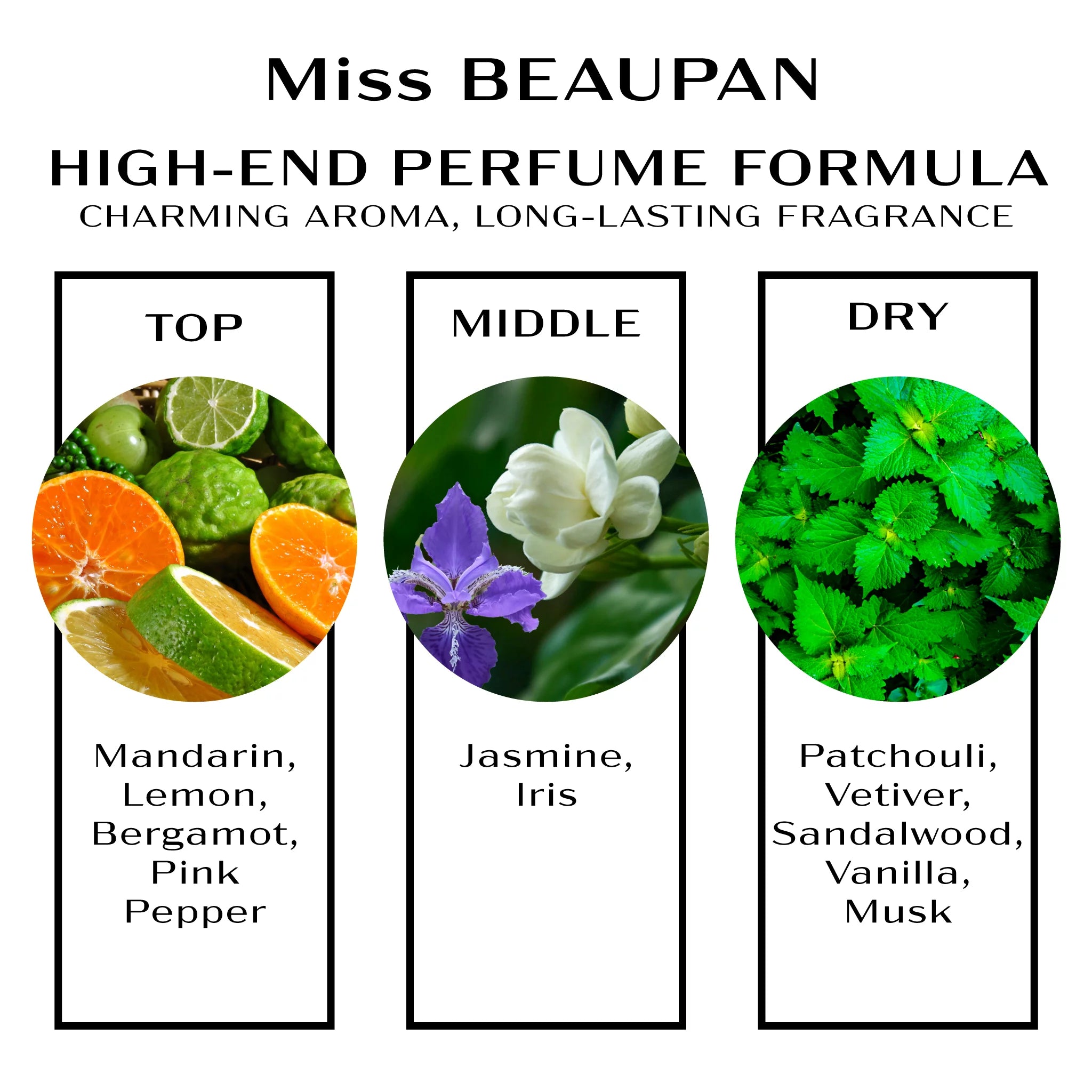 BEAUPAN Long Lasting Travel Size Perfume for Women： Luxury High End Womens Travel Size Jasmine Wisp Vanilla Dream Perfumes Gift Sets - Long-Lasting Womens Fragrance Sets (3x0.34 fl. oz. (10ml)