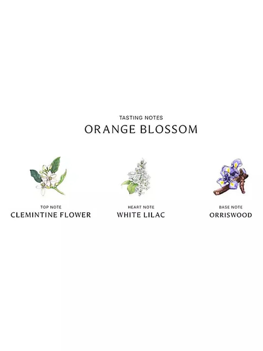Jo Malone Orange Blossom Diffuser 5.6 oz