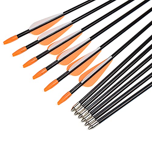 Archery Practice Fiberglass Arrows 24/26/28/30 Inch Target Shooting Safetyglass Recurve Bows Suitable for Youth Children Woman Beginner 6-12PCS