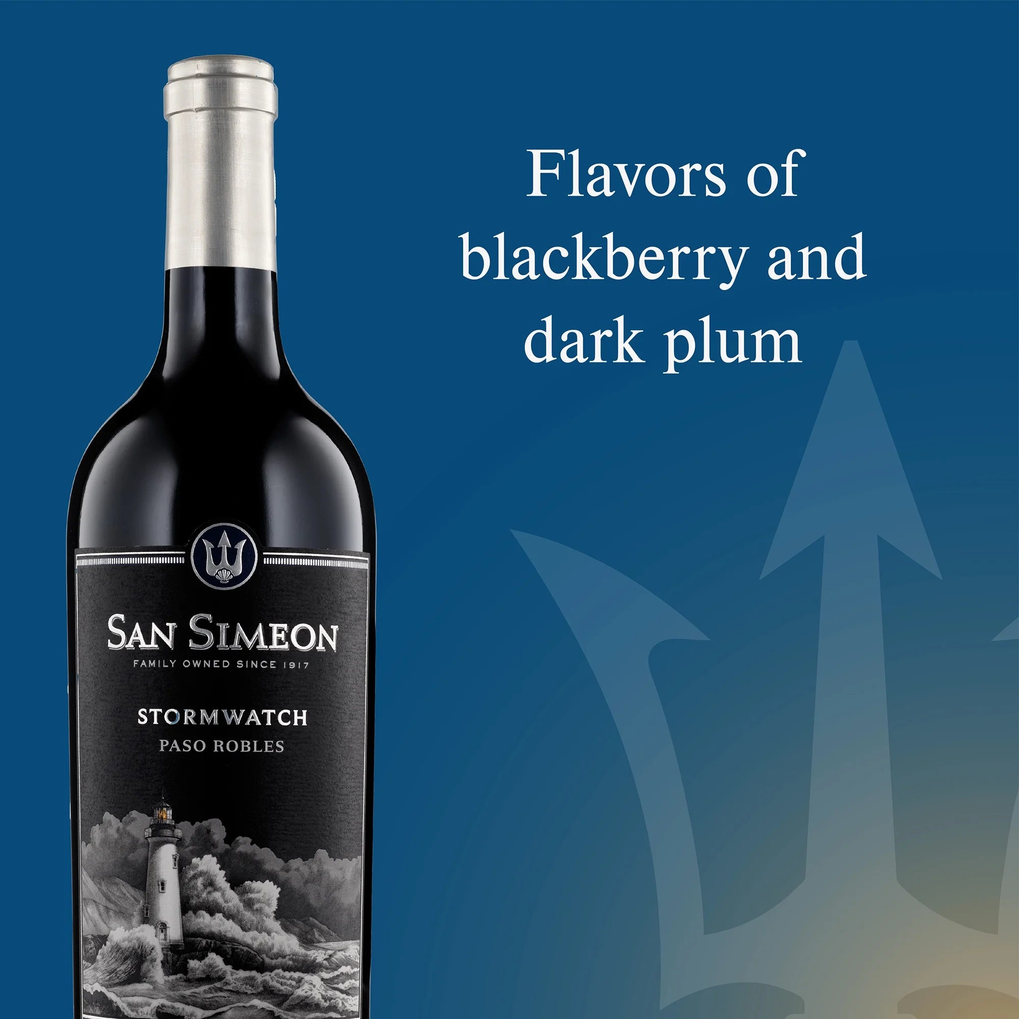 San Simeon Stormwatch Estate Red Wine, 750ml Glass Bottle, Paso Robles, California