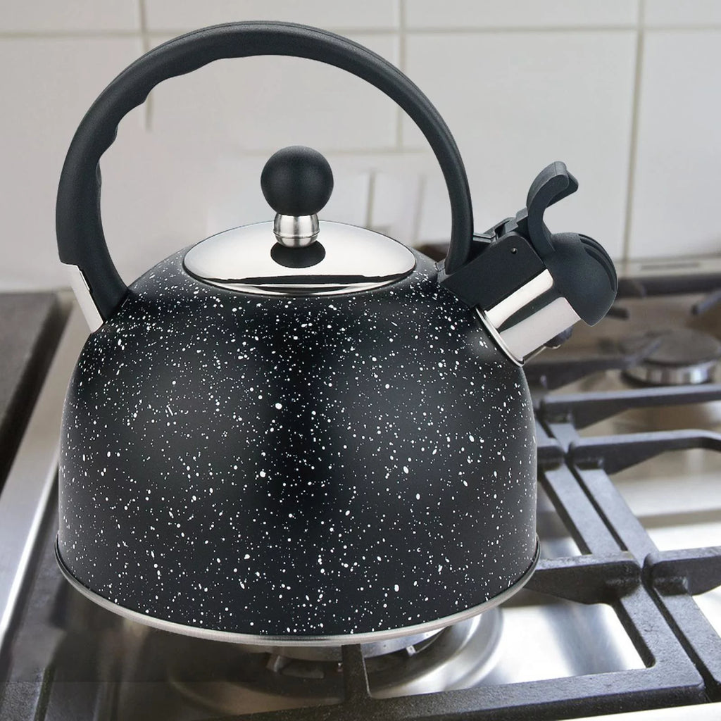 Multifunctional Loud Whistling Kettle 2L Large Capacity Household Stainless Steel Picnic Tea Pot Teapot Kettle Water Kettle for picnic black