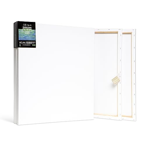 Elan Stretched Canvases Mulit-Pack Canvases for Painting, Painting Canvas Bulk, Stretched Canvas for Adults Blank Canvas for Painting Painting Canvases, Paint Canvases for Painting, Art Canvas