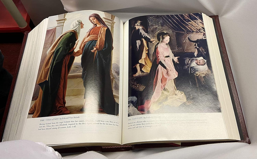 Catholic Family Bible Divine Mercy Edition