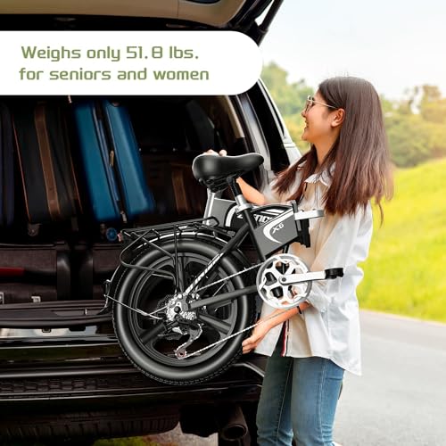 Folding Electric Bike for Adults, 750W Motor(1000W Peak),30MPH, 60Mile,48V 12.8AH/15AH/20AH Battery,20" Fat Tire Foldable Electric Bicycle,Commuter Beach Snow E-Bikes,7-Speed…