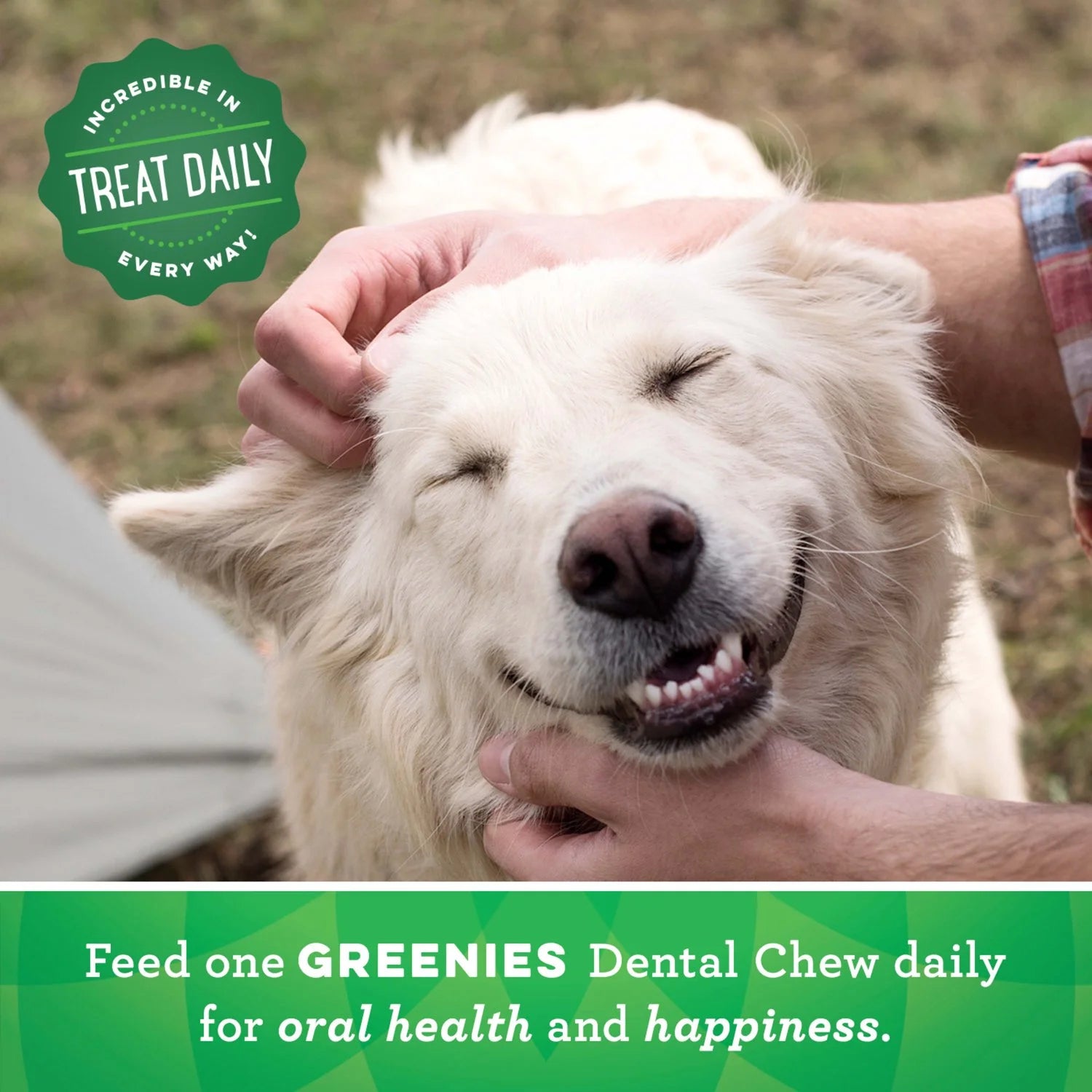 Greenies Original Flavor Dental Treats for Dogs, 27 oz Pouch