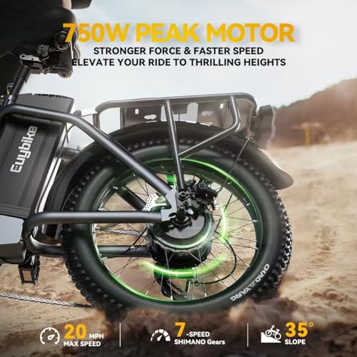 Folding Electric Bike for Adults, 750W Motor(1000W Peak),30MPH, 60Mile,48V 12.8AH/15AH/20AH Battery,20" Fat Tire Foldable Electric Bicycle,Commuter Beach Snow E-Bikes,7-Speed…