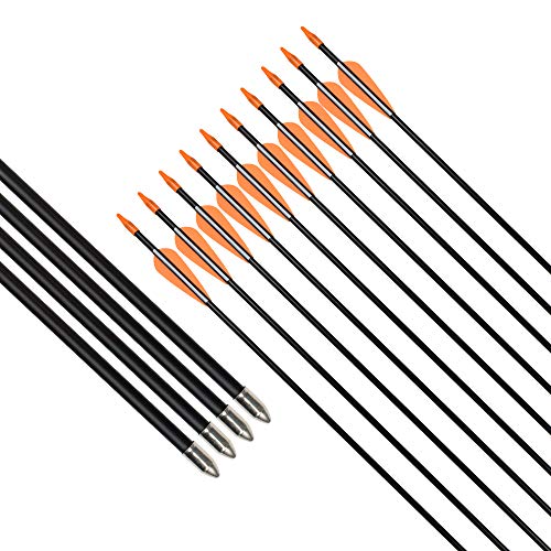 Archery Practice Fiberglass Arrows 24/26/28/30 Inch Target Shooting Safetyglass Recurve Bows Suitable for Youth Children Woman Beginner 6-12PCS
