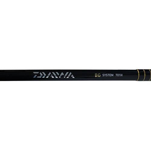 Daiwa BG Saltwater Spinning Combo