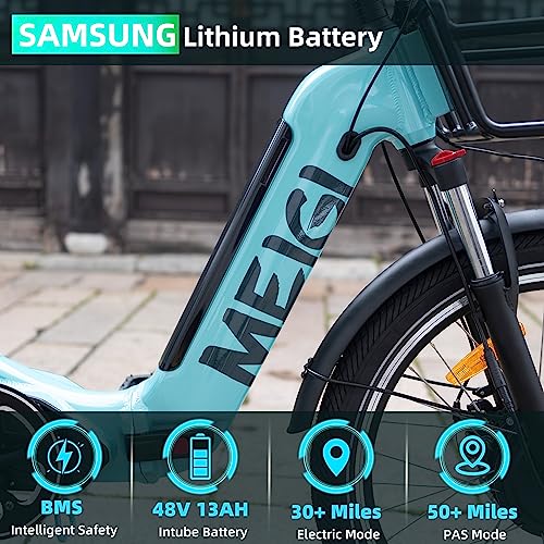 DWMEIGI 3 Wheel Electric Bicycle 750W Motor 48V 13AH Battery with Turn Signal Reserve Gear, Foldable 24" Tire Electric Cruiser Tricycle