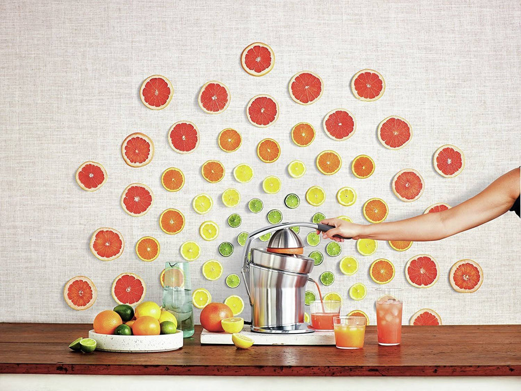 Breville 800cpxl Die-Cast Stainless-Steel Motorized Citrus Press