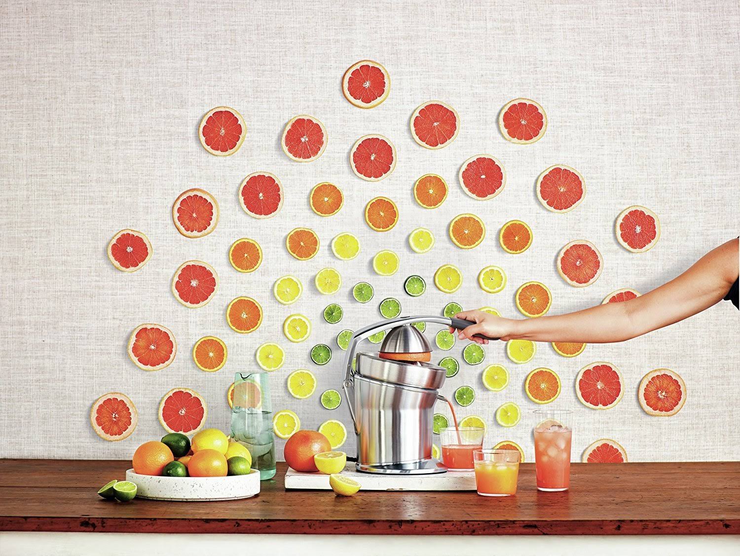 Breville 800cpxl Die-Cast Stainless-Steel Motorized Citrus Press