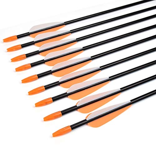 Archery Practice Fiberglass Arrows 24/26/28/30 Inch Target Shooting Safetyglass Recurve Bows Suitable for Youth Children Woman Beginner 6-12PCS