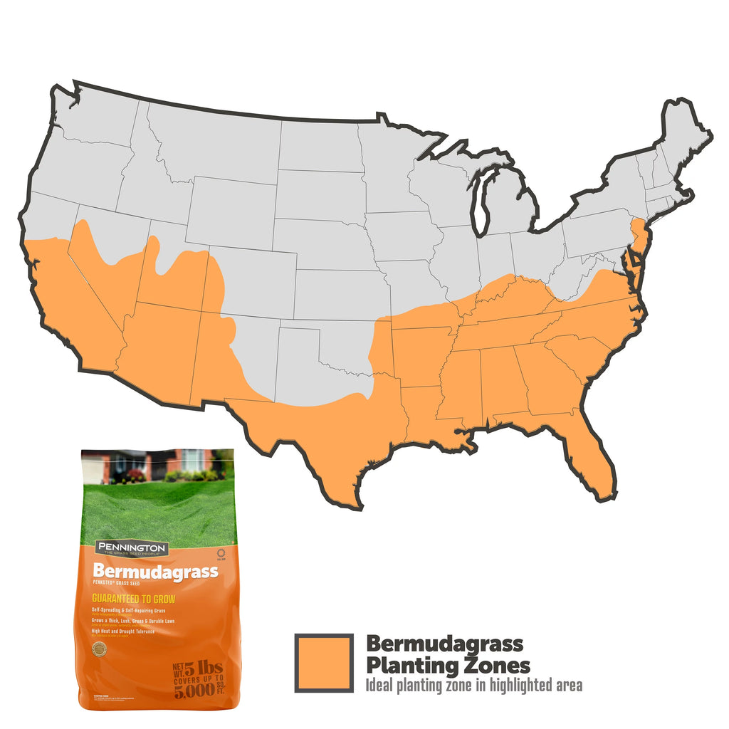 Pennington Sahara Bermudagrass Southern Grass Seed, for Full Sun, 5 lb.