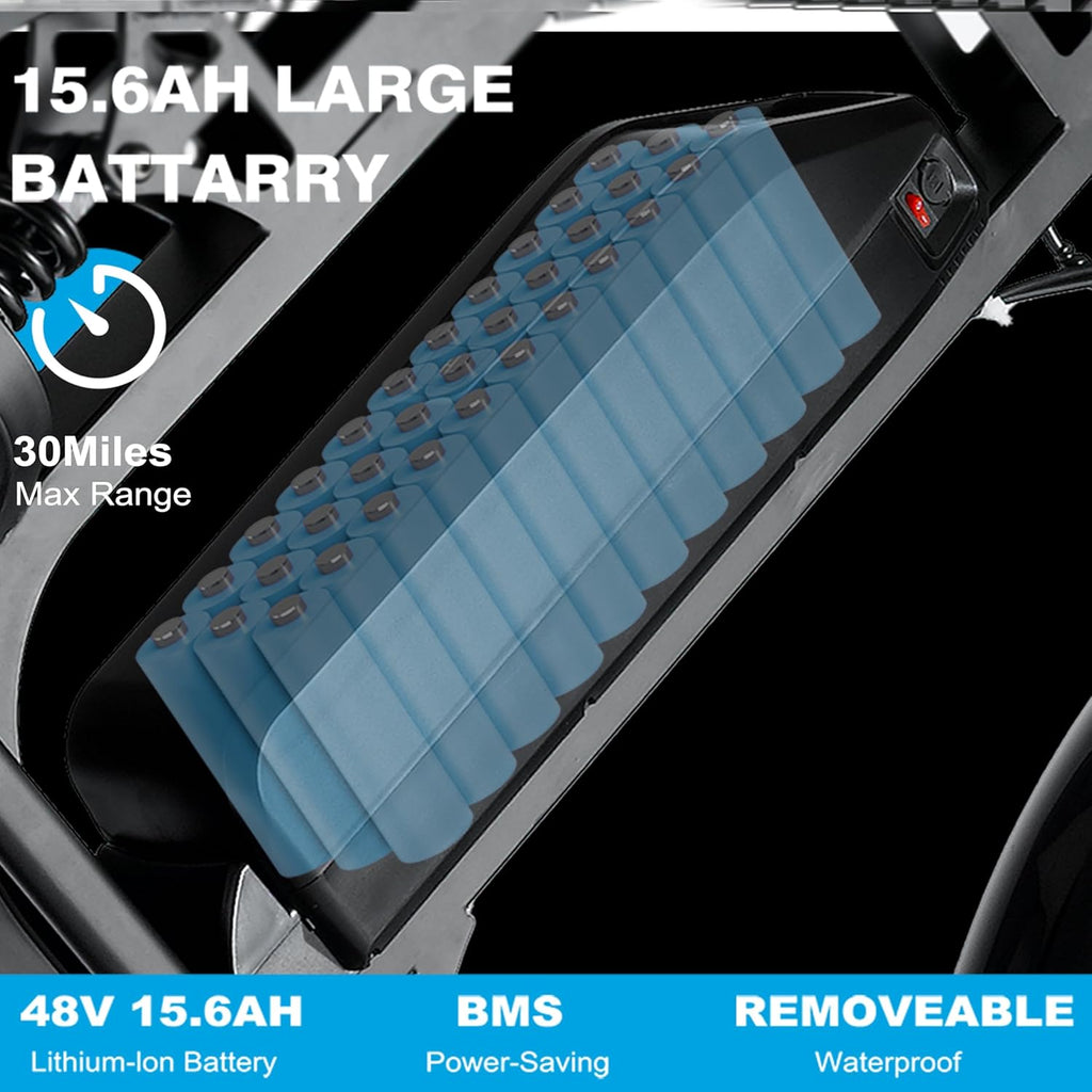 V20 3.0 Electric Bike Powerful 1000W Motor, 20'' Fat Tire Ebikes, 48V 15.6AH Battery, 28MPH Speed, Double Suspension & Disc Brakes