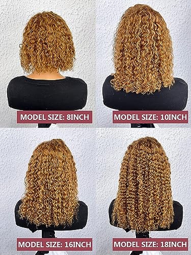 Curly Bob Wig Human Hair 13x4 Lace Front Wigs Human Hair Curly Wigs for Black Women HD Transparent Water Wave Lace Front Wigs Wet and Wavy Glueless Frontal Wigs Human Hair Pre Plucked With Baby Hair