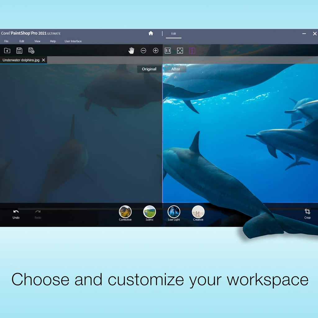 Photo Video Ultimate Bundle 2021 | PaintShop Pro + VideoStudio | Powerful Photo and Video Editing Software [PC Download] [Old Version]