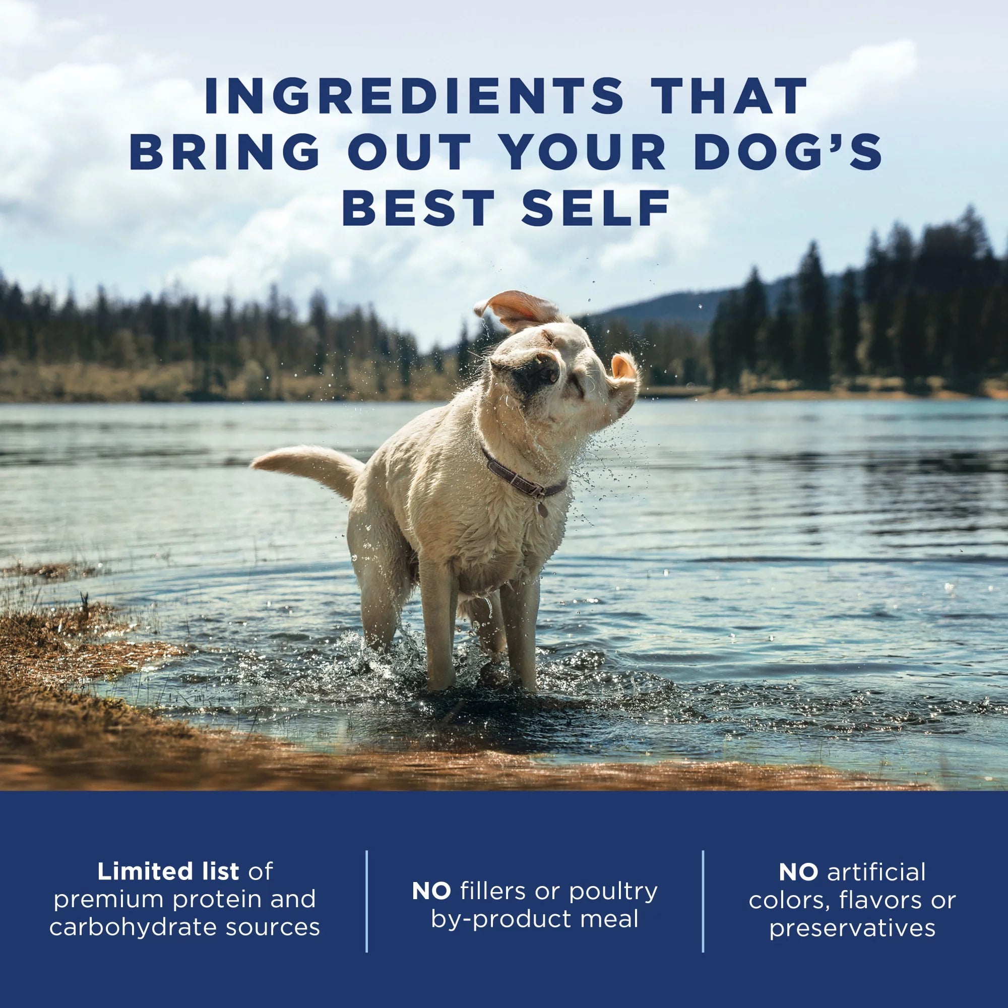 Natural Balance L.I.D. Limited Ingredient Diets Dry Dog Food, 4 Pounds, Lamb & Brown Rice Small Breed Formula