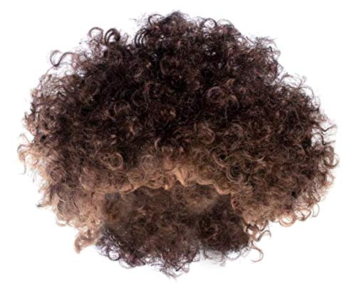 ACE SHOCK Clown Cosplay Wig Adults, Synthetic Afro Halloween Costume Hair Funky Style