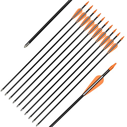 Archery Practice Fiberglass Arrows 24/26/28/30 Inch Target Shooting Safetyglass Recurve Bows Suitable for Youth Children Woman Beginner 6-12PCS