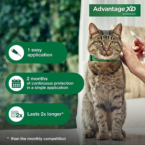 Advantage XD Large Cat Flea Prevention & Treatment For Cats over 9lbs. | 4-Topical Doses, 2-Months of Protection Per Dose