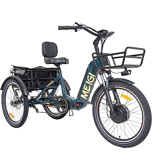 DWMEIGI 3 Wheel Electric Bicycle 750W Motor 48V 13AH Battery with Turn Signal Reserve Gear, Foldable 24" Tire Electric Cruiser Tricycle
