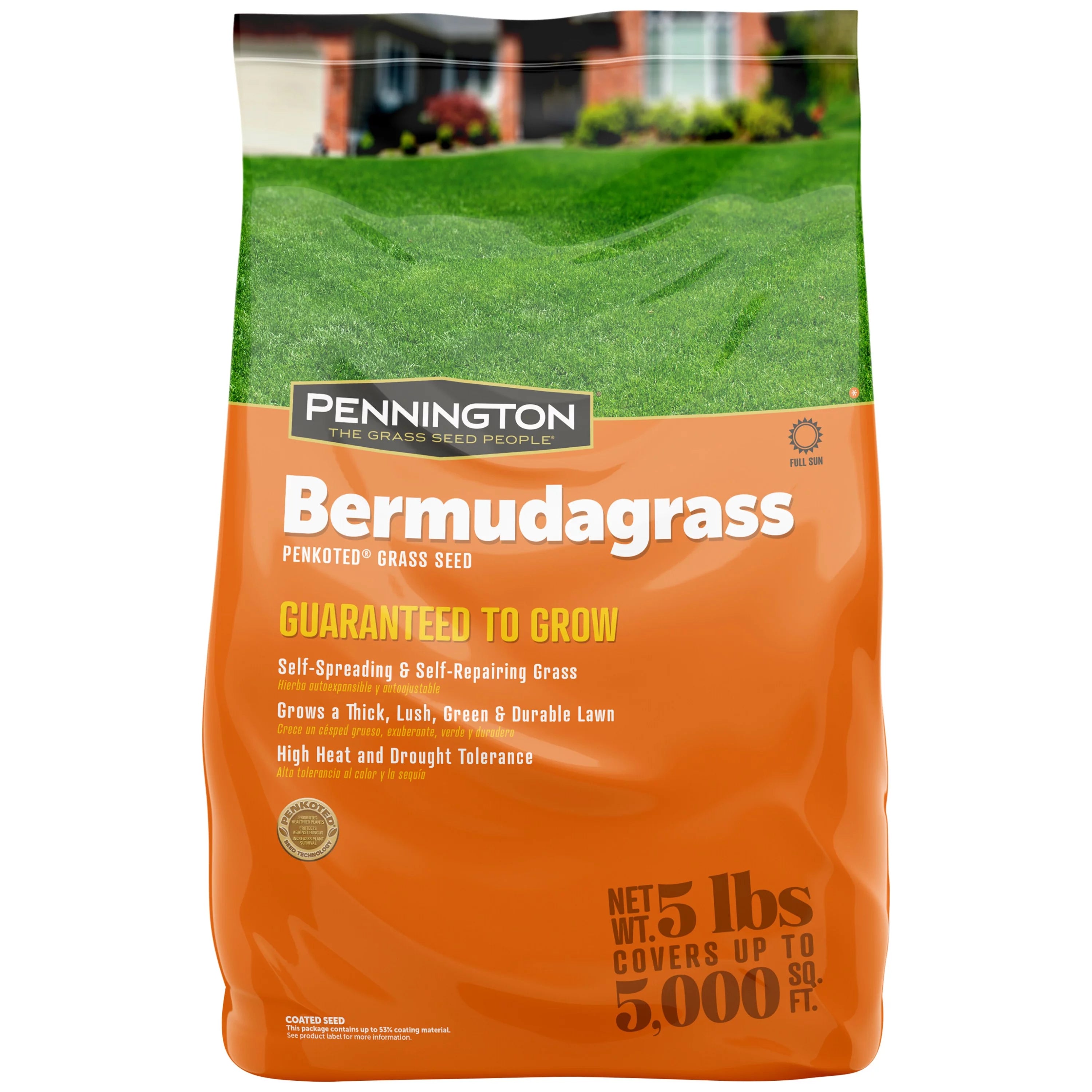 Pennington Sahara Bermudagrass Southern Grass Seed, for Full Sun, 5 lb.