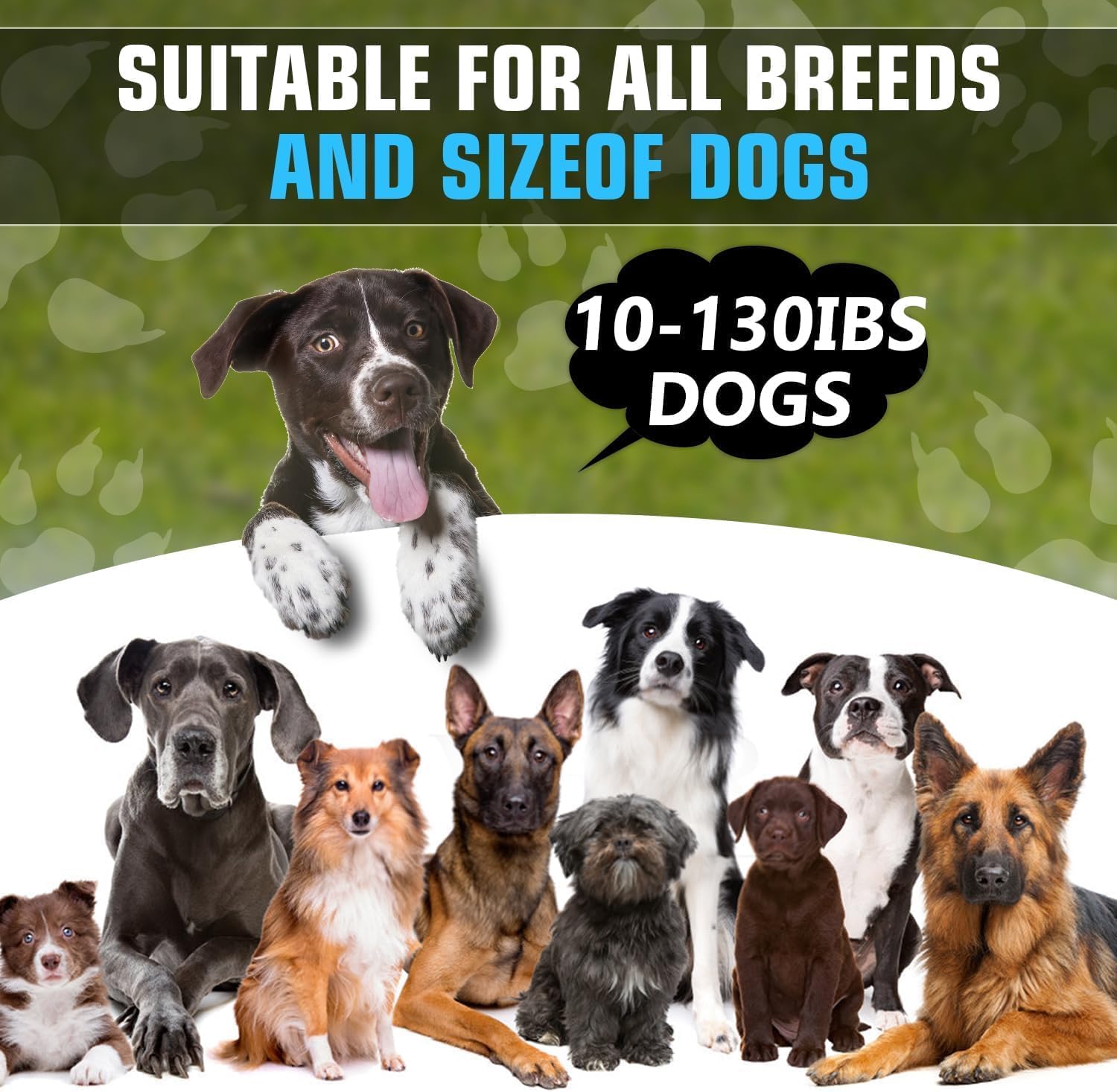 Bark Box, Anti-Barking Device for Dogs, Ultrasonic Dog Bark Deterrent Devices, 50 Ft. Dog Barking Stopper Indoor Outdoor, Suitable for Small Medium Large Dogs